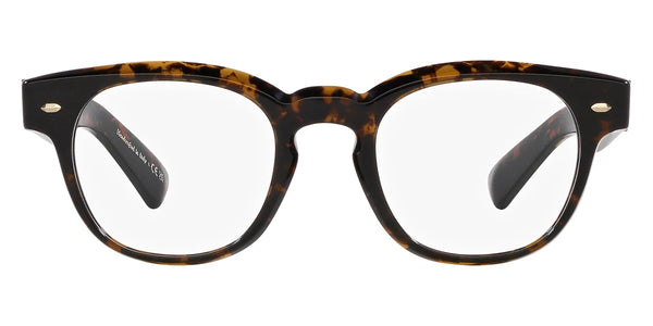 Walnut Tortoise / 49-22-145