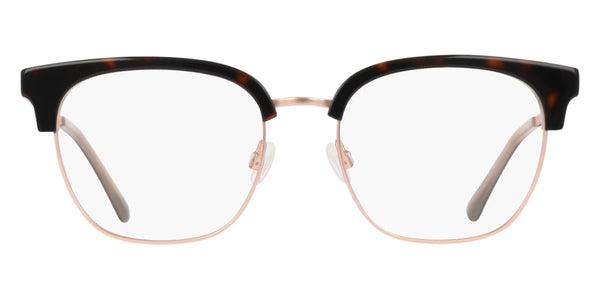 Tortoise / 54-19-145