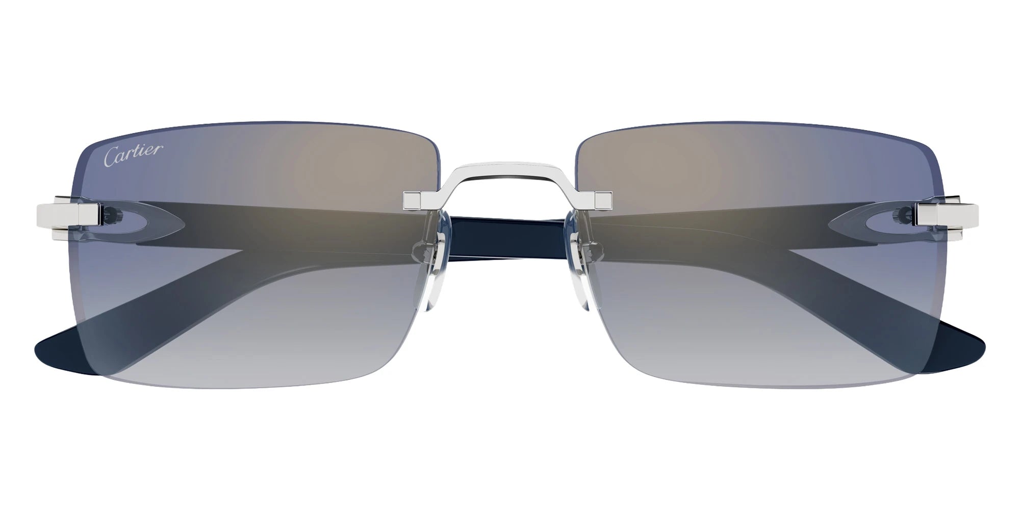 Cartier - CT0579S C Décor