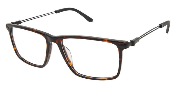 Tortoise / 60-17-150