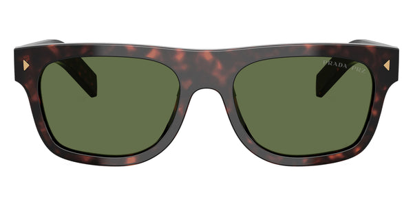Root Tortoise / Polarized Green / 55-19-145