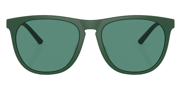 Semi-Matte Ryegrass/Ryegrass Silver / Forest / 55-17-145