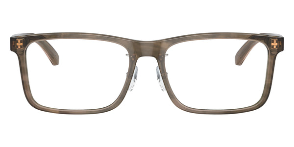 Shiny Green/Top Brown / 56-17-145