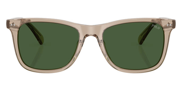 Shiny Transparent Dark Taupe / Bottle Green / 55-19-145