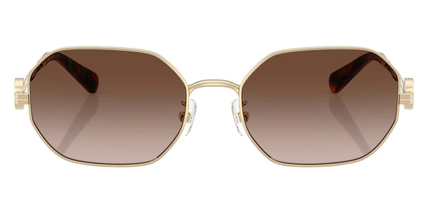 Shiny Light Gold / Brown Gradient / 55-18-140