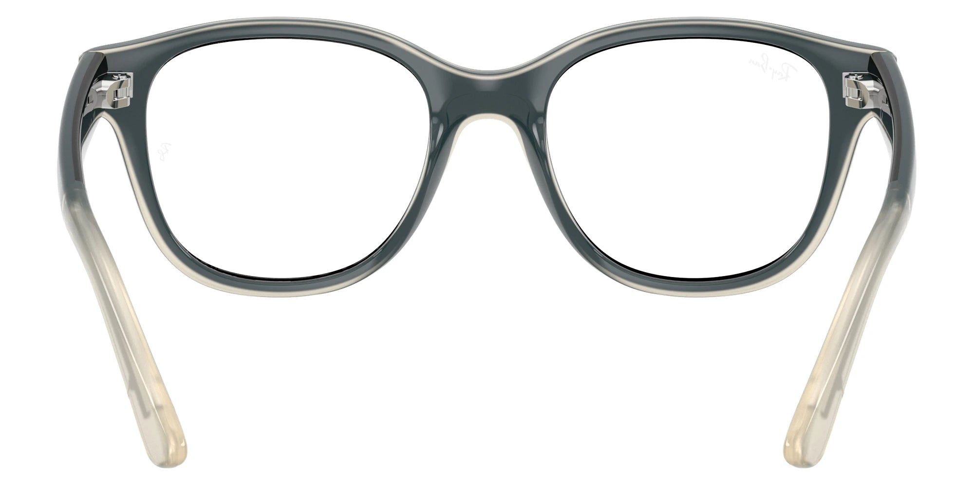 Ray-Ban RY1950 7202 46 - Black on Transparent