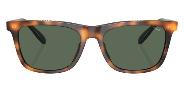 Shiny Red Havana / Dark Green / 56-18-145