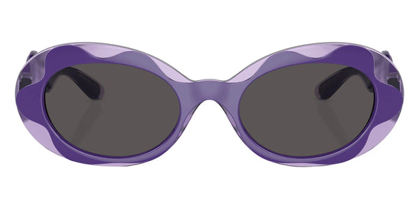 Purple / Dark Gray / 49-19-130