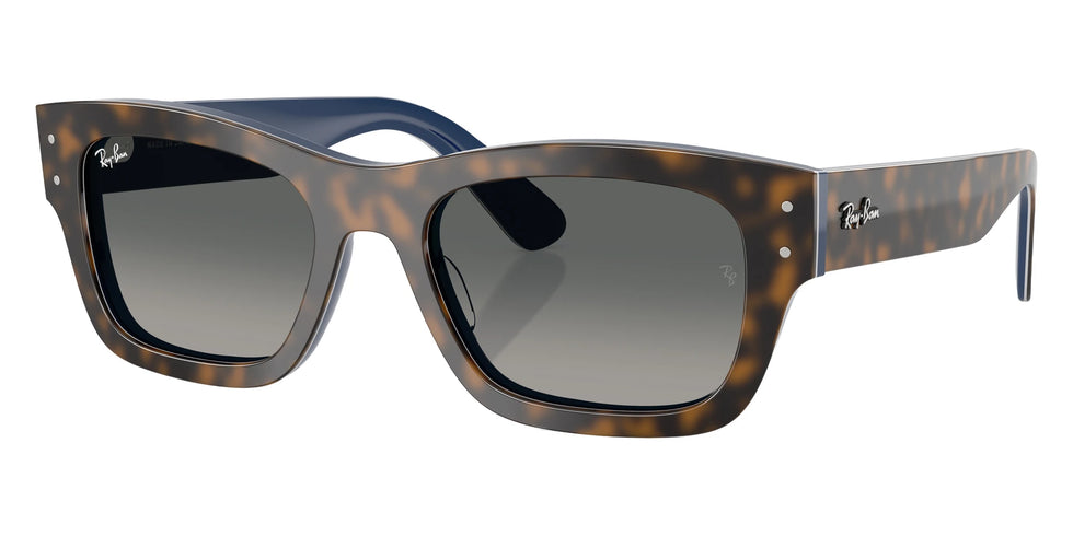 Ray-Ban - RB7683S Joseph