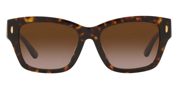 Dark Tortoise / Brown Gradient / 53-17-140