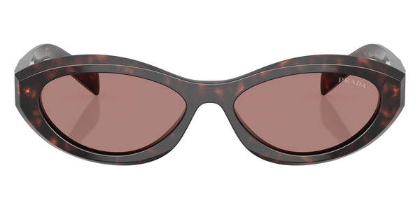 Root Tortoise / Light Brown / 56-15-145