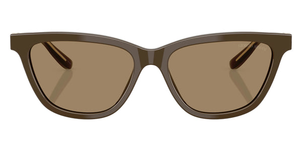 Brown on Crystal / Brown / 55-16-140