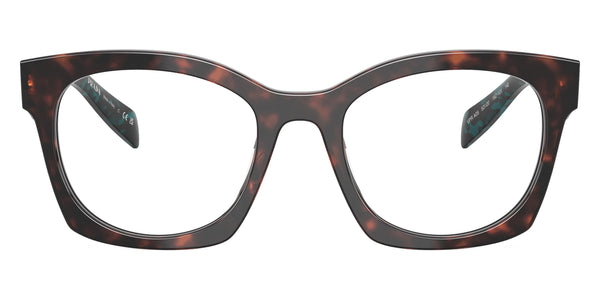 Root Tortoise/Teal Tortoise / 50-20-140