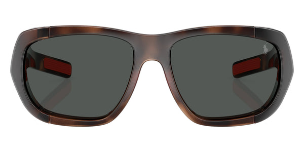 Shiny Dark Havana / Dark Gray / 58-16-145