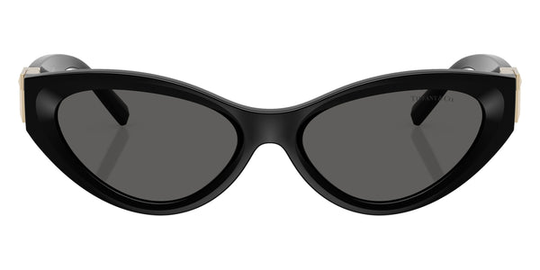 Black / Dark Gray / 54-17-140