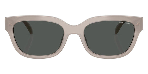 Shiny Opal Light Gray / Dark Gray / 54-19-140