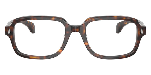 Shiny Dark Havana/Crystal / 54-19-145