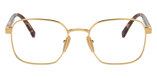 Gold/Magma Tortoise / 53-19-145