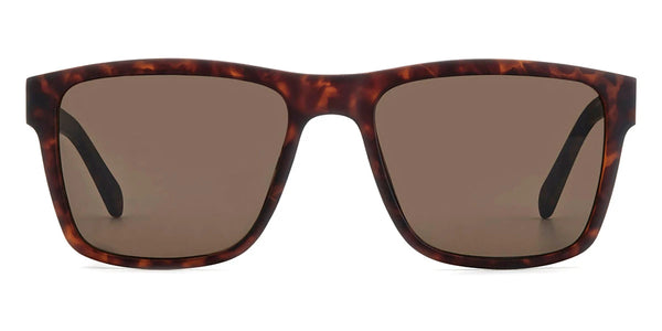 Matte Havana / Brown / 56-19-145