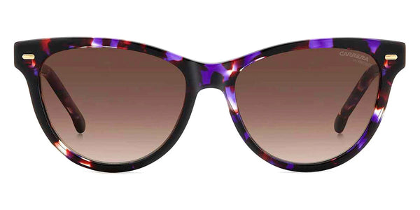 Violet Havana / Brown Gradient / 54-16-140