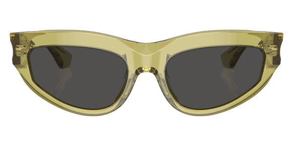 Green / Dark Gray / 55-19-145