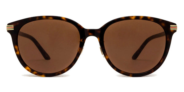 Havana / Brown / 55-19-145