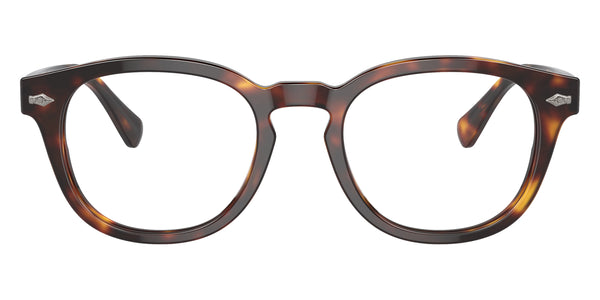 Shiny Brown Tortoise / 49-20-145