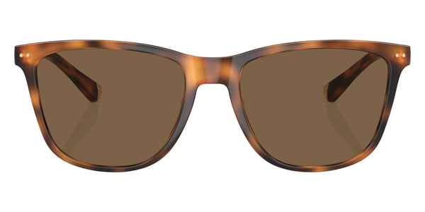 Warm Tortoise / Dark Brown / 56-18-145