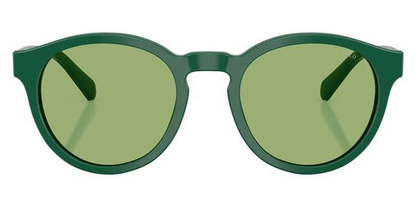 Shiny Dark Green / Light Green / 51-21-145