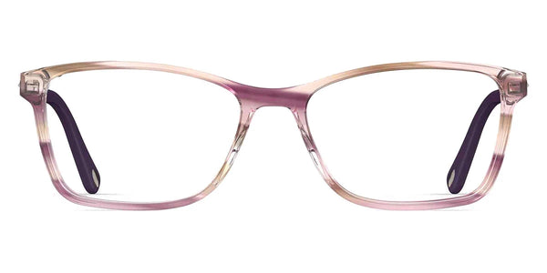 Striped Violet / 50-16-135