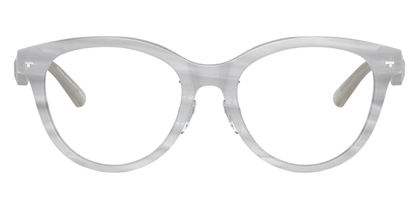 Shiny Striped Gray / 52-19-140