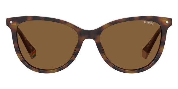 Havana / Bronze Polarized / 53-16-145