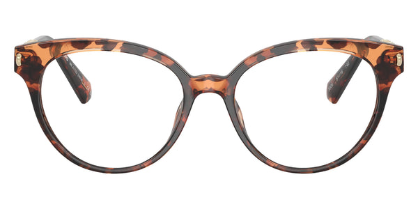 Dark Tortoise / 51-16-140