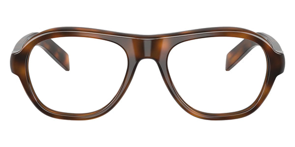 Juniper Tortoise / 52-19-140