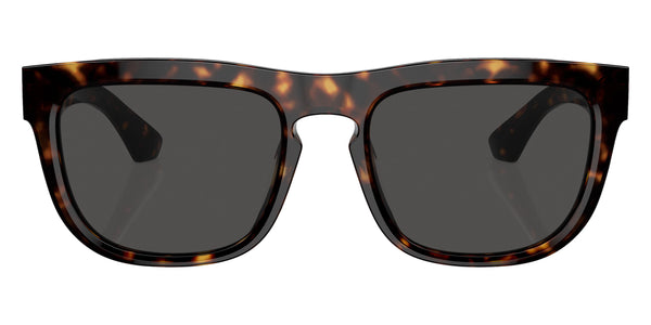 Dark Havana / Dark Gray / 56-20-145