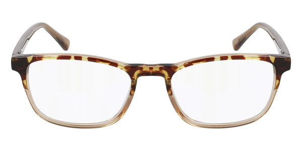 Tokyo Tortoise / 51-16-140