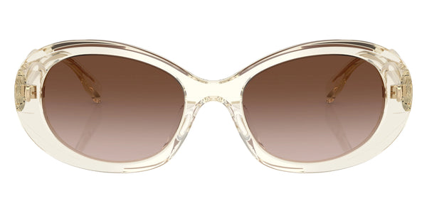 Transparent Pinot / Brown Gradient / 53-19-140