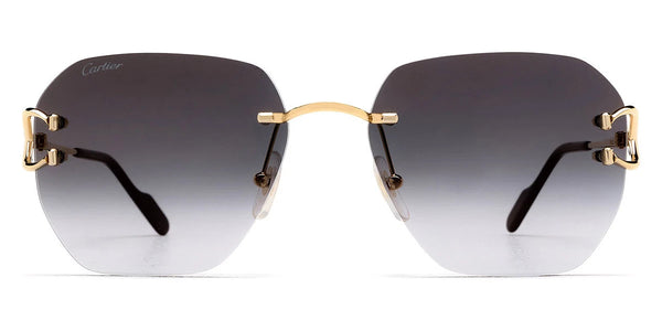 Gold / Gray Multi Treatment / 58-17-145