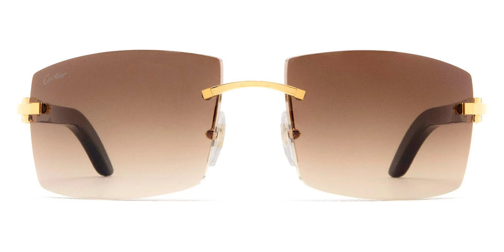 Cartier - CT0021RS C Décor