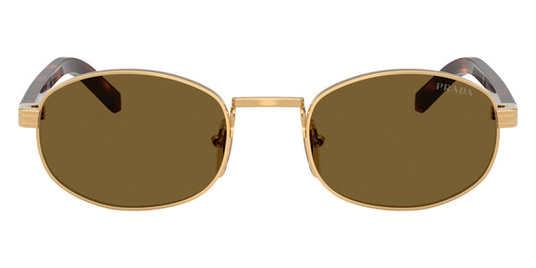 Gold/Classic Tortoise / Dark Brown / 49-21-145