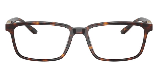 Dark Tortoise/Matte Gold / 54-16-145