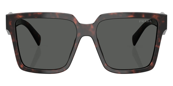 Root Tortoise/Black / Dark Gray / 56-16-140