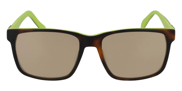 Tortoise / 56-17-140