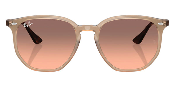 Turtledove/Havana / Pink Gradient Gray / 54-19-145