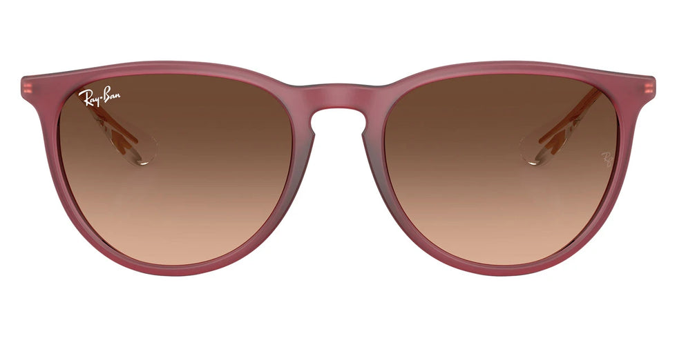 Ray-Ban - Erika RB4171F