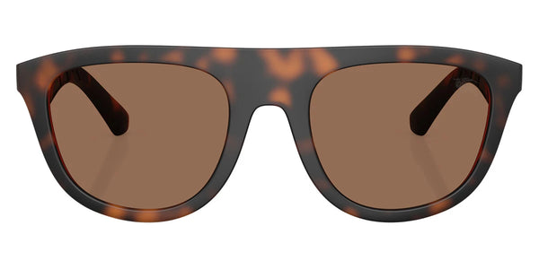 Matte Dark Havana / Dark Brown / 55-22-145