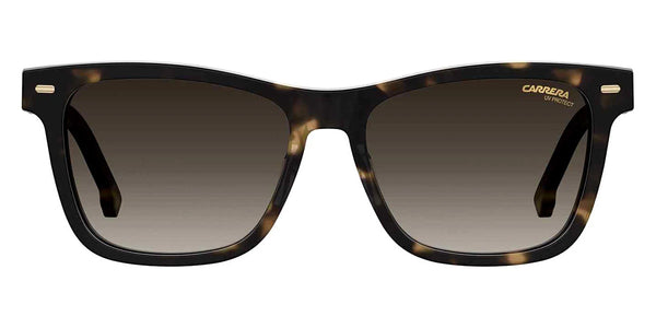 Havana / Brown Gradient / 54-16-140