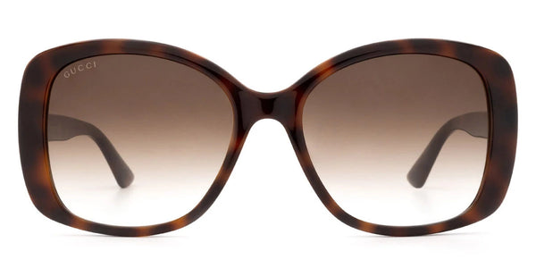 Havana / Brown Gradient / 56-18-145