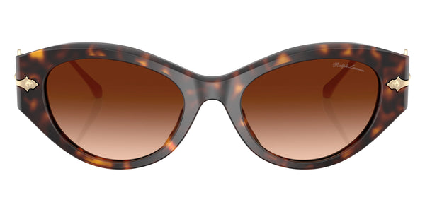 Dark Havana/Shiny Pale Gold / Gradient Brown / 52-19-140