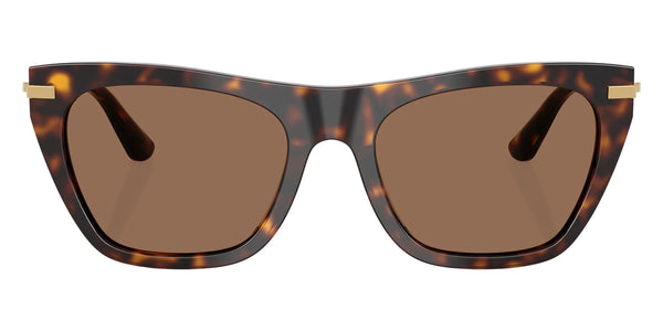 Havana / Dark Brown / 55-19-140